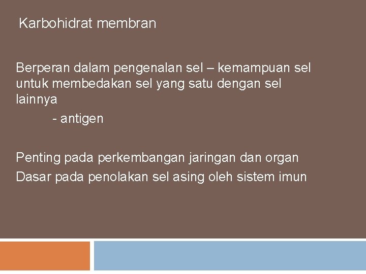 Karbohidrat membran Berperan dalam pengenalan sel – kemampuan sel untuk membedakan sel yang satu