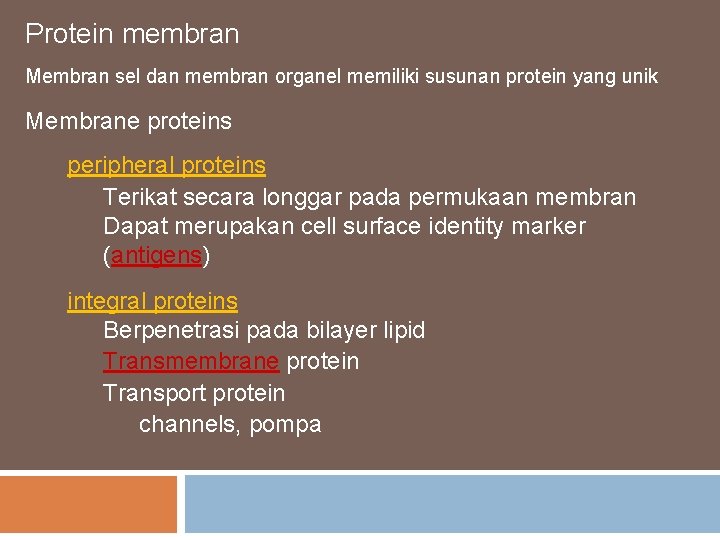 Protein membran Membran sel dan membran organel memiliki susunan protein yang unik Membrane proteins