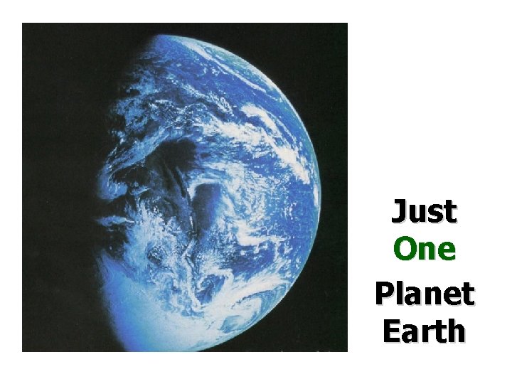 Just One Planet Earth 
