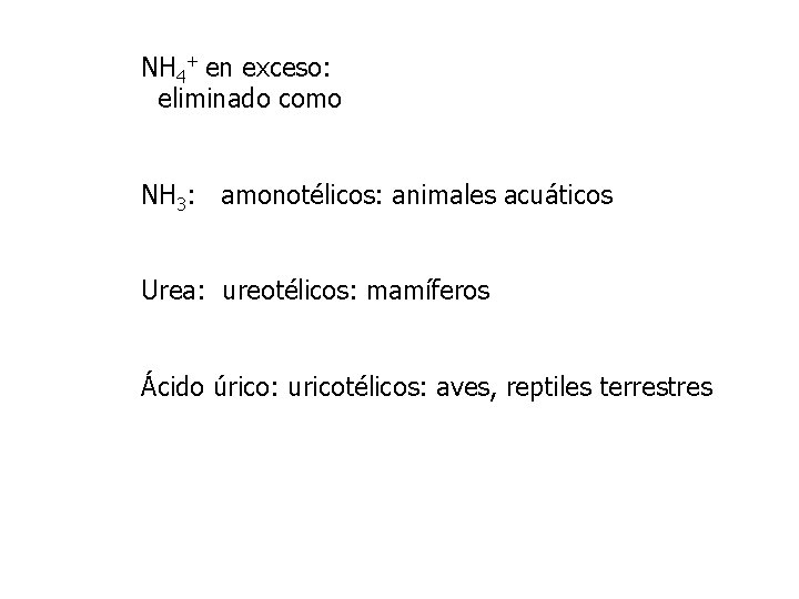 NH 4+ en exceso: eliminado como NH 3: amonotélicos: animales acuáticos Urea: ureotélicos: mamíferos