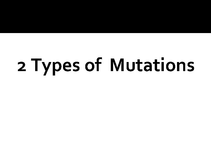 2 Types of Mutations 2 Types of Mutations