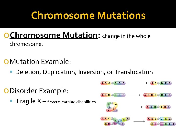 Chromosome Mutations Chromosome Mutation: change in the whole chromosome. Mutation Example: Deletion, Duplication, Inversion, Chromosome Mutations Chromosome Mutation: change in the whole chromosome. Mutation Example: Deletion, Duplication, Inversion,
