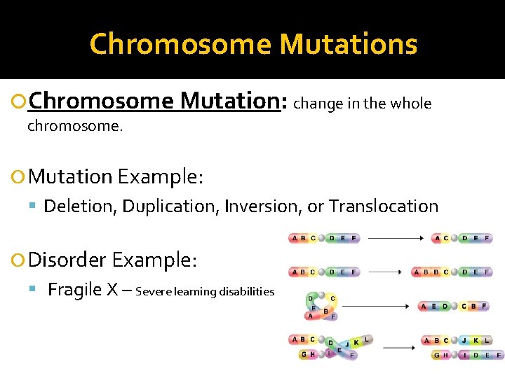 Chromosome Mutations Chromosome Mutation: change in the whole chromosome. Mutation Example: Deletion, Duplication, Inversion,