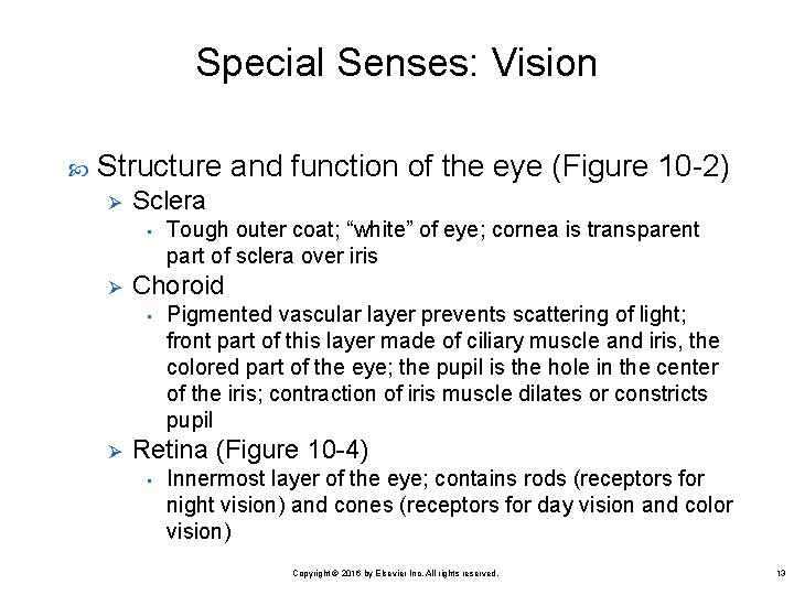 Special Senses: Vision Structure and function of the eye (Figure 10 -2) Ø Sclera
