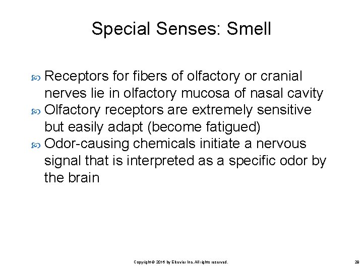 Special Senses: Smell Receptors for fibers of olfactory or cranial nerves lie in olfactory