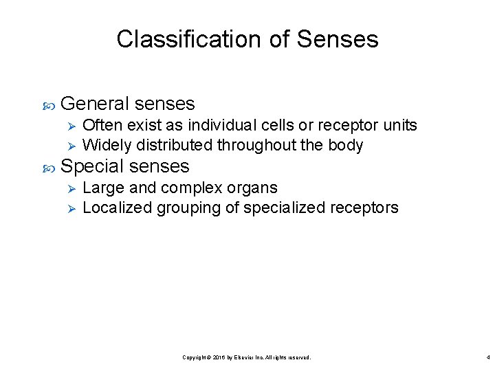 Classification of Senses General senses Ø Ø Often exist as individual cells or receptor