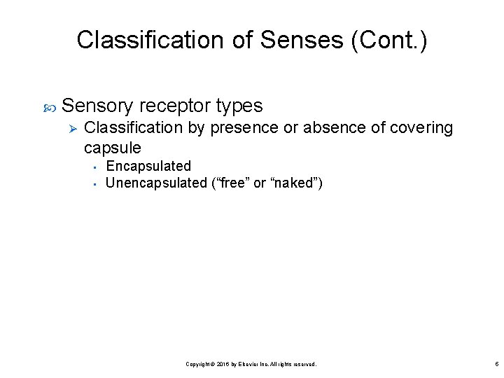Classification of Senses (Cont. ) Sensory receptor types Ø Classification by presence or absence