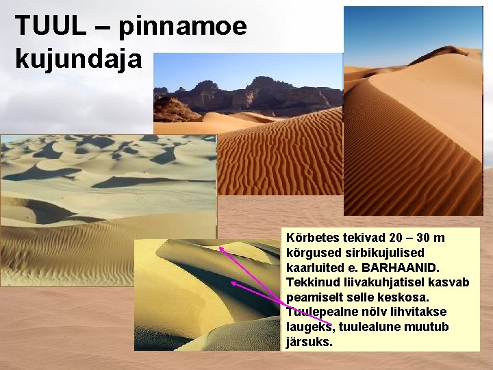 TUUL – pinnamoe kujundaja Kõrbetes tekivad 20 – 30 m kõrgused sirbikujulised kaarluited e.