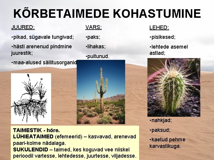 KÕRBETAIMEDE KOHASTUMINE JUURED: VARS: LEHED: • pikad, sügavale tungivad; • paks; • pisikesed; •