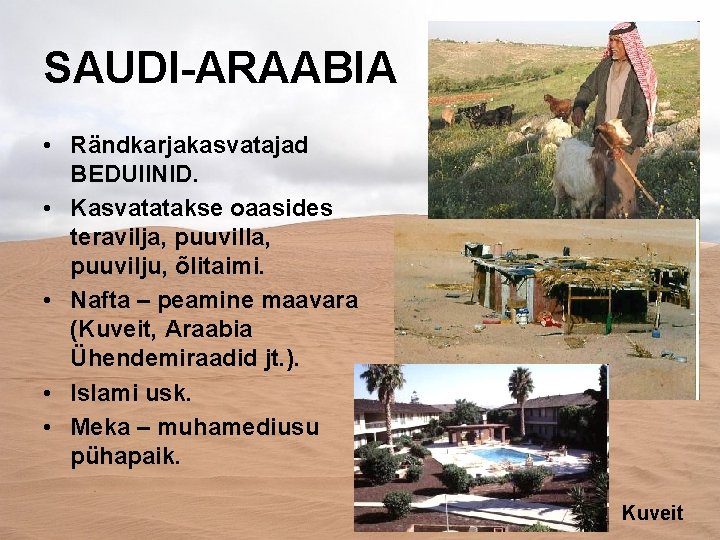 SAUDI-ARAABIA • Rändkarjakasvatajad BEDUIINID. • Kasvatatakse oaasides teravilja, puuvilla, puuvilju, õlitaimi. • Nafta –