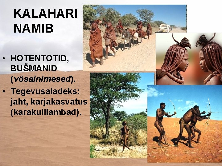 KALAHARI NAMIB • HOTENTOTID, BUŠMANID (võsainimesed). • Tegevusaladeks: jaht, karjakasvatus (karakulllambad). 