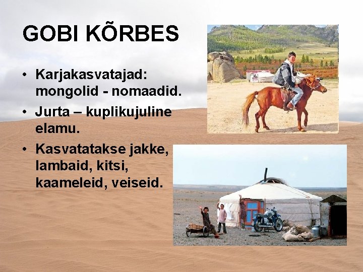 GOBI KÕRBES • Karjakasvatajad: mongolid - nomaadid. • Jurta – kuplikujuline elamu. • Kasvatatakse