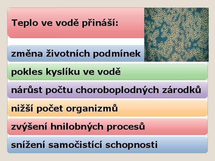 Teplo ve vodě přináší: změna životních podmínek pokles kyslíku ve vodě nárůst počtu choroboplodných