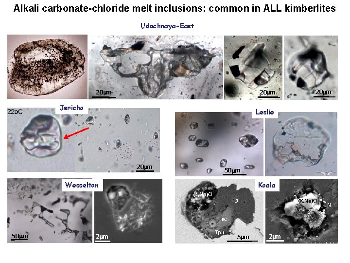 Alkali carbonate-chloride melt inclusions: common in ALL kimberlites Udachnaya-East 20 mm Jericho Leslie 20