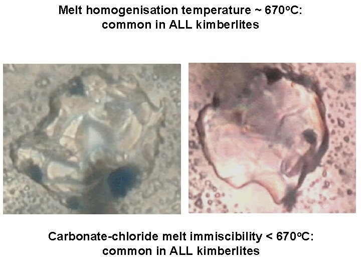 Melt homogenisation temperature ~ 670 o. C: common in ALL kimberlites Carbonate-chloride melt immiscibility