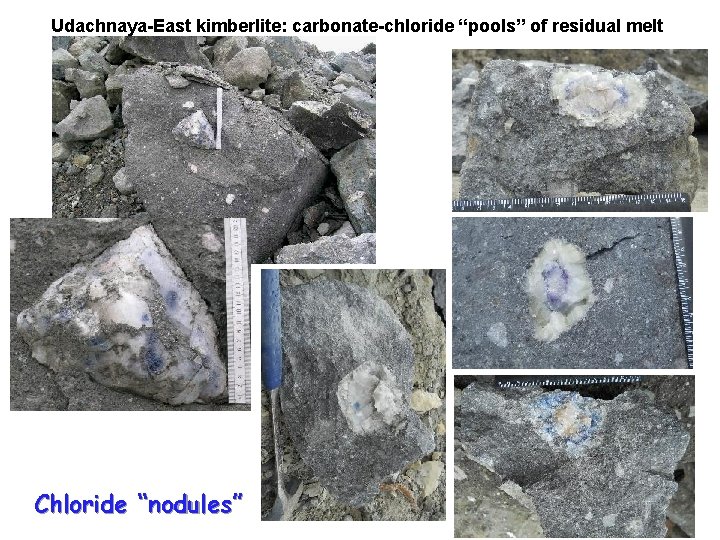 Udachnaya-East kimberlite: carbonate-chloride “pools” of residual melt Chloride “nodules” 