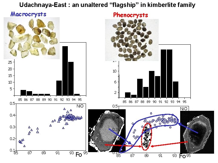 Udachnaya-East : an unaltered “flagship” in kimberlite family Macrocrysts Phenocrysts 35 N 18 N