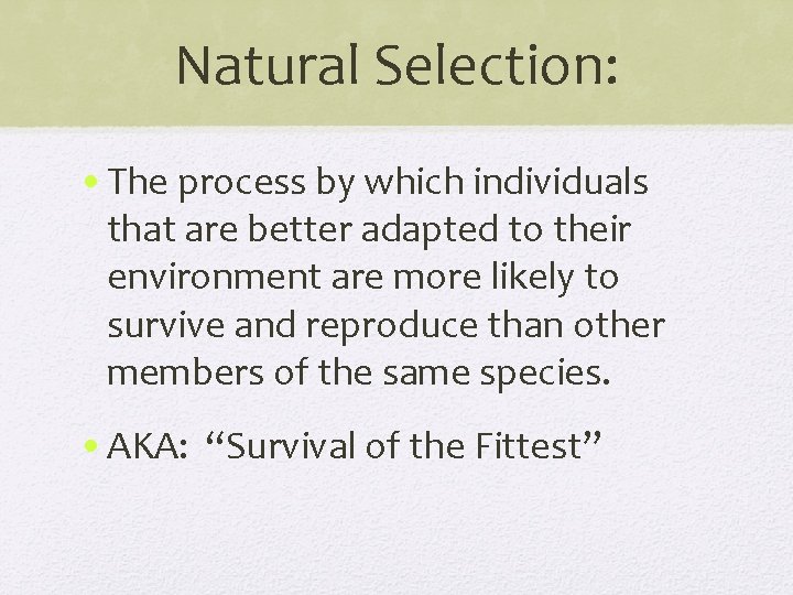 Natural Selection: • The process by which individuals that are better adapted to their