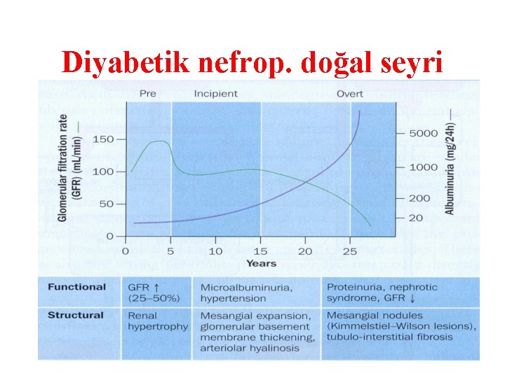 Diyabetik nefrop. doğal seyri 