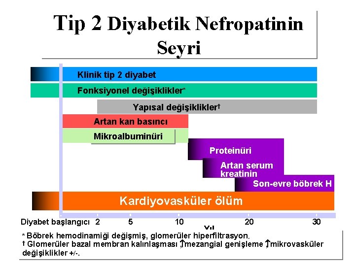 Tip 2 Diyabetik Nefropatinin Seyri Klinik tip 2 diyabet Fonksiyonel değişiklikler* Yapısal değişiklikler† Artan