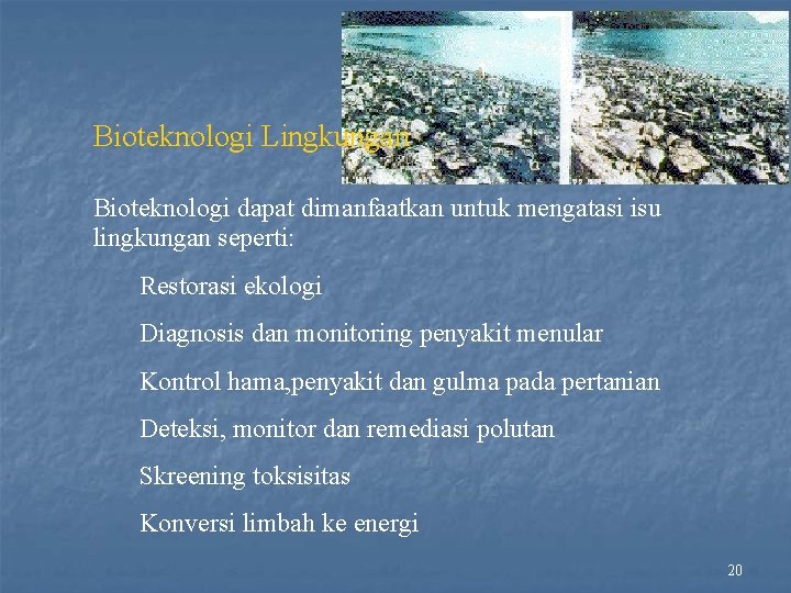 Bioteknologi Lingkungan Bioteknologi dapat dimanfaatkan untuk mengatasi isu lingkungan seperti: Restorasi ekologi Diagnosis dan