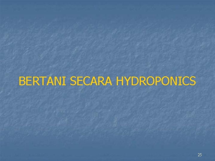 BERTANI SECARA HYDROPONICS 25 