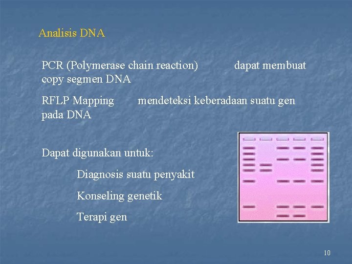 Analisis DNA PCR (Polymerase chain reaction) copy segmen DNA RFLP Mapping pada DNA dapat