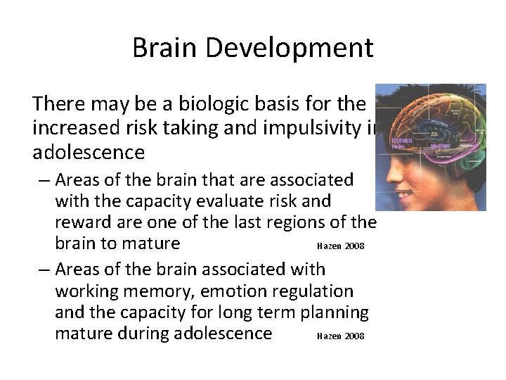 Brain Development There may be a biologic basis for the increased risk taking and