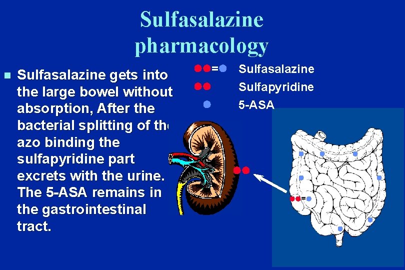 Sulfasalazine pharmacology n Sulfasalazine gets into the large bowel without absorption, After the bacterial