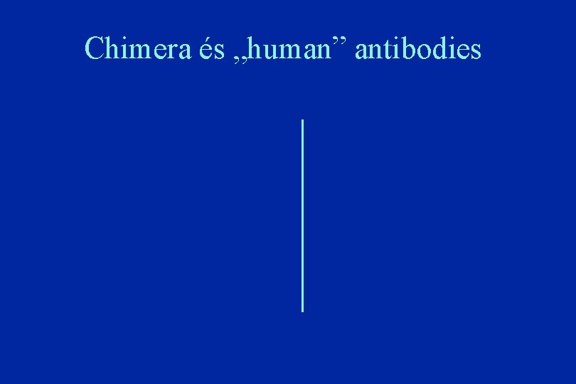 Chimera és „human” antibodies 