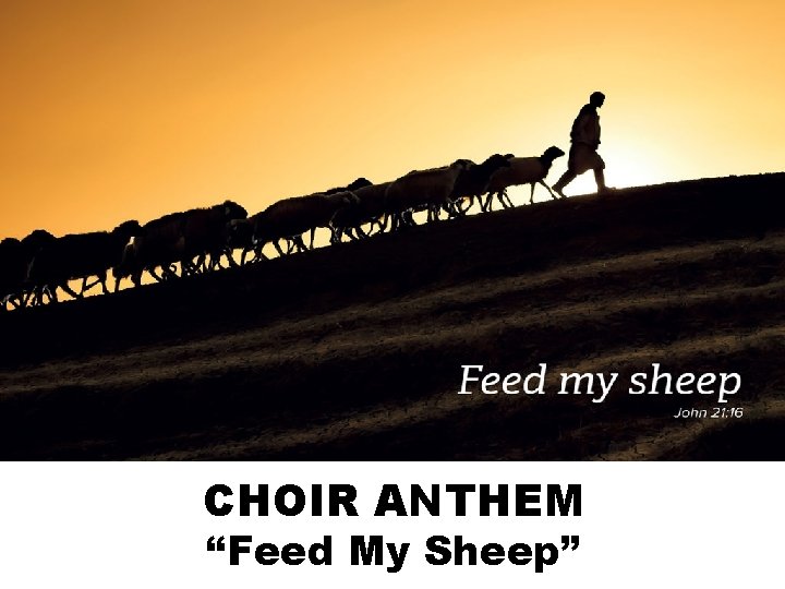 CHOIR ANTHEM “Feed My Sheep” 