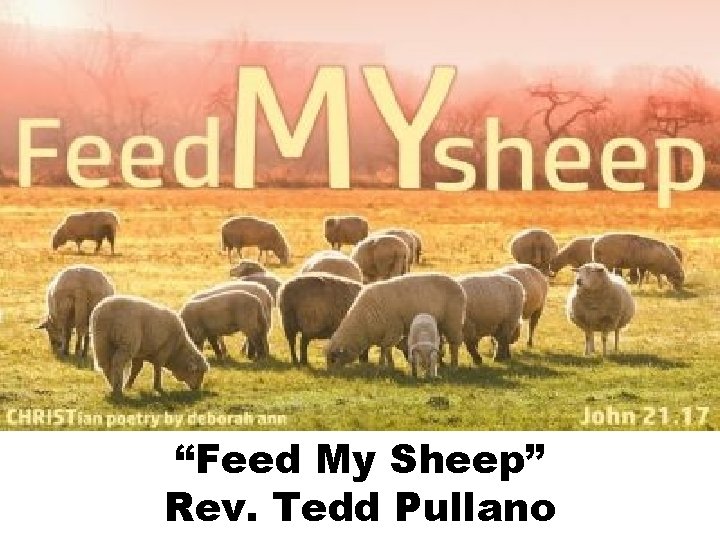 “Feed My Sheep” Rev. Tedd Pullano 