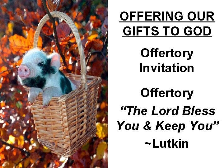 OFFERING OUR GIFTS TO GOD Offertory Invitation Offertory “The Lord Bless You & Keep