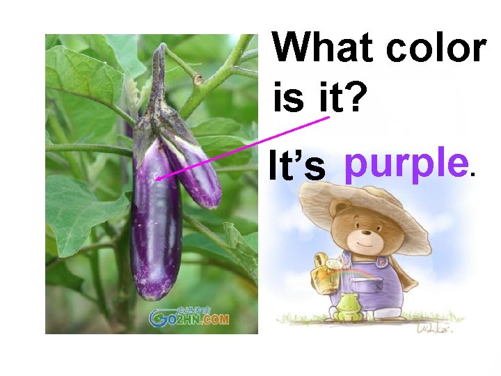 What color is it? It’s purple. 