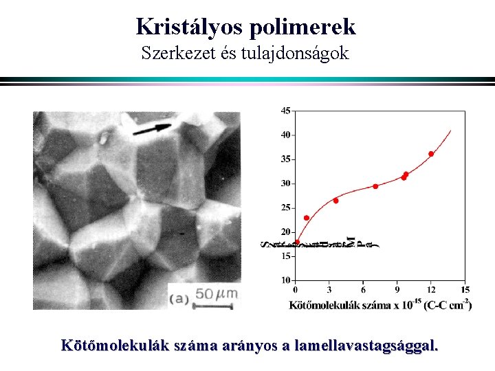 Kristályos polimerek Szerkezet és tulajdonságok Kötőmolekulák száma arányos a lamellavastagsággal. 