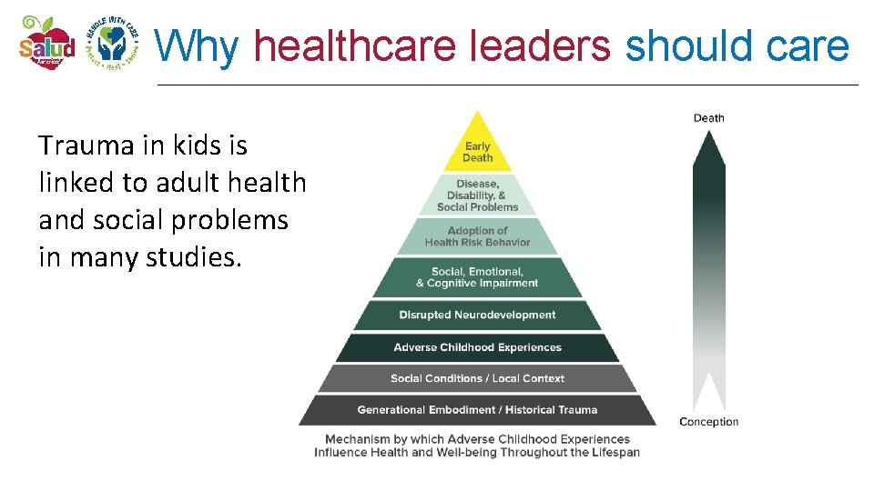 Why healthcare leaders should care Trauma in kids is linked to adult health and