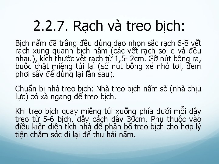 2. 2. 7. Rạch và treo bịch: Bịch nấm đã trắng đều dùng dao