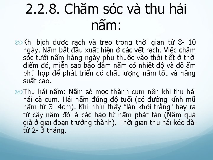 2. 2. 8. Chăm sóc và thu hái nấm: Khi bịch được rạch và