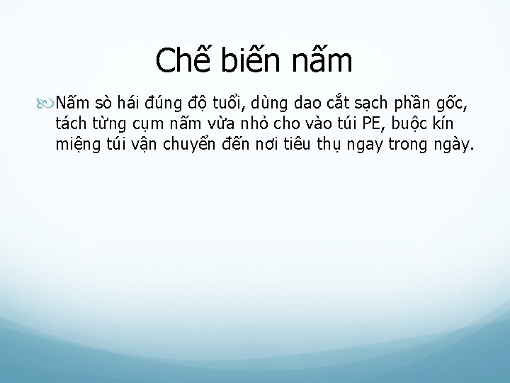 Chế biến nấm Nấm sò hái đúng độ tuổi, dùng dao cắt sạch phần