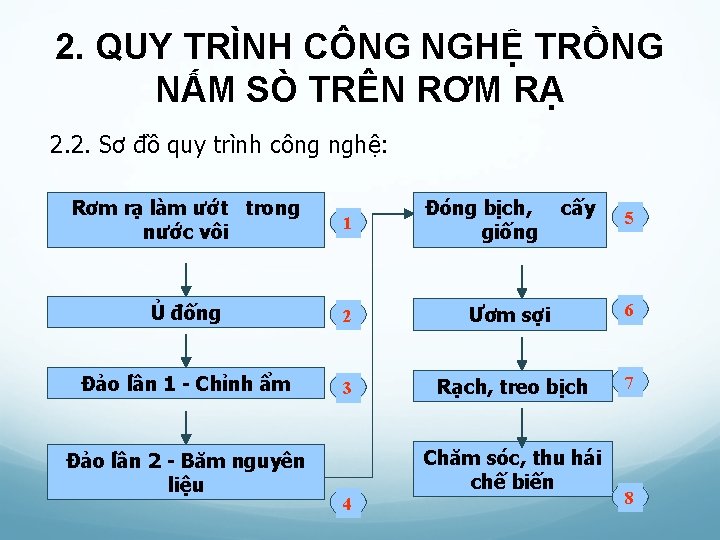 2. QUY TRÌNH CÔNG NGHỆ TRỒNG NẤM SÒ TRÊN RƠM RẠ 2. 2. Sơ