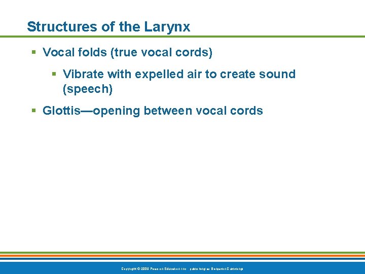 Structures of the Larynx § Vocal folds (true vocal cords) § Vibrate with expelled
