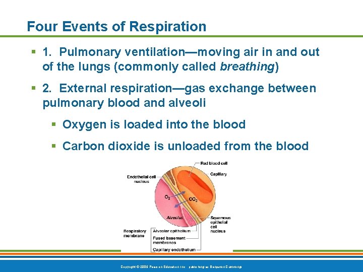 Four Events of Respiration § 1. Pulmonary ventilation—moving air in and out of the