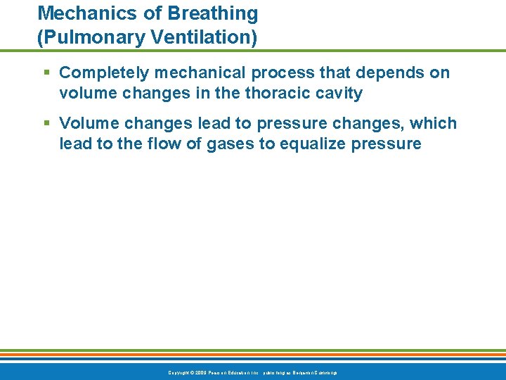 Mechanics of Breathing (Pulmonary Ventilation) § Completely mechanical process that depends on volume changes