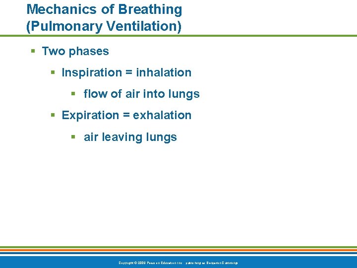 Mechanics of Breathing (Pulmonary Ventilation) § Two phases § Inspiration = inhalation § flow