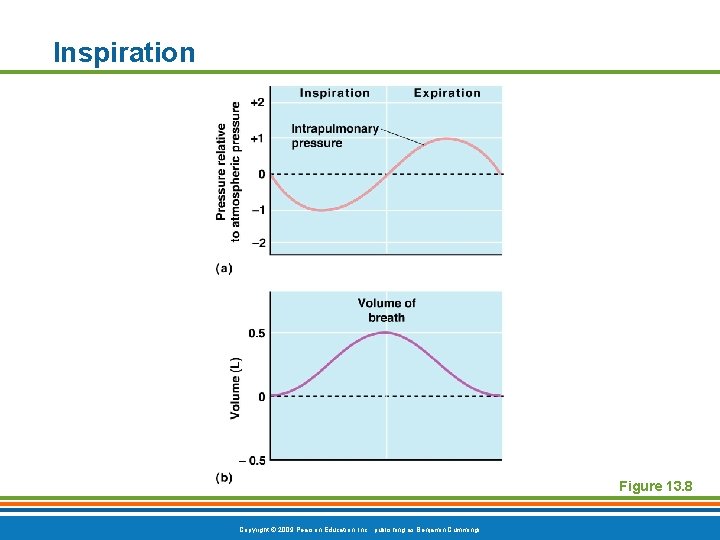 Inspiration Figure 13. 8 Copyright © 2009 Pearson Education, Inc. , publishing as Benjamin