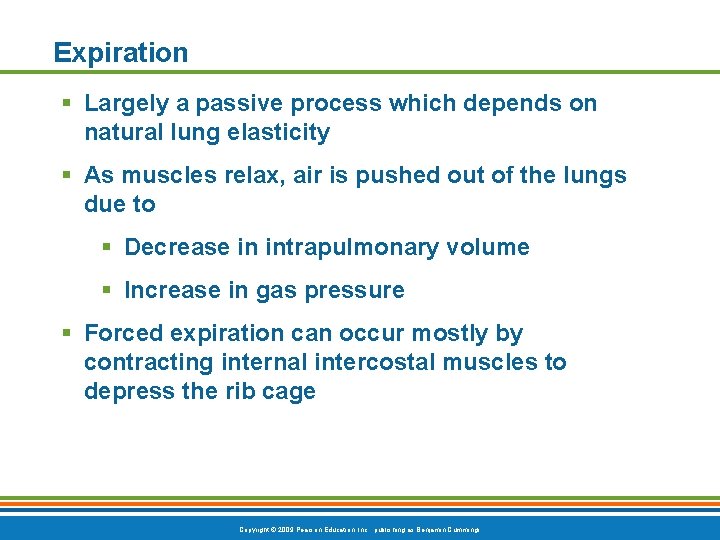 Expiration § Largely a passive process which depends on natural lung elasticity § As