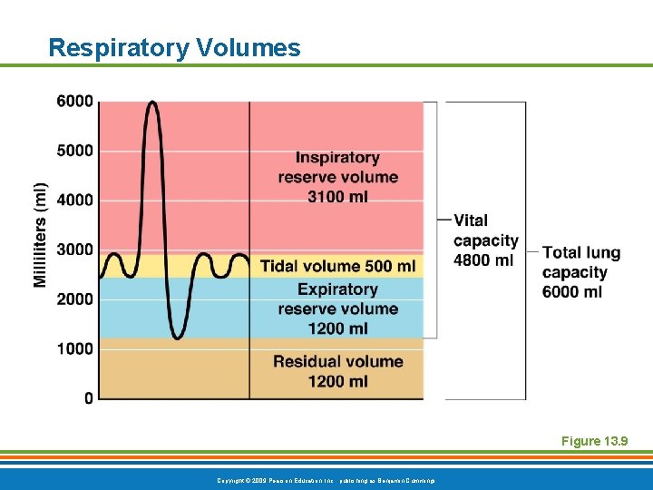 Respiratory Volumes Figure 13. 9 Copyright © 2009 Pearson Education, Inc. , publishing as