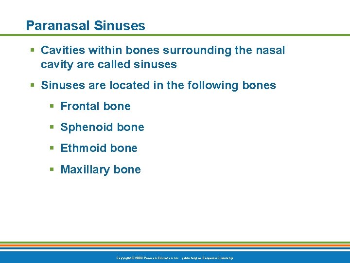 Paranasal Sinuses § Cavities within bones surrounding the nasal cavity are called sinuses §