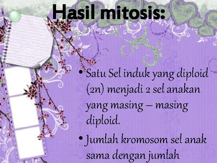 Hasil mitosis: • Satu Sel induk yang diploid (2 n) menjadi 2 sel anakan