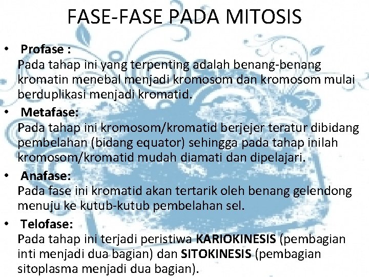 FASE-FASE PADA MITOSIS • Profase : Pada tahap ini yang terpenting adalah benang-benang kromatin